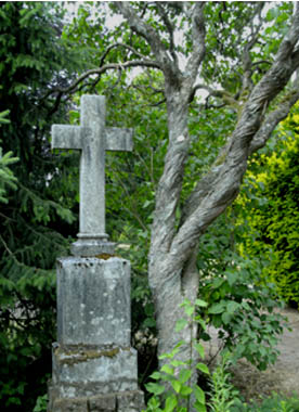 Steinkreuz neben einem alten Fliederbusch umrahmt von viel Grün