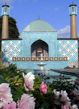Blaue Moschee unter blauem Himmel mit rosa Rosen vor einem Wasserbecken