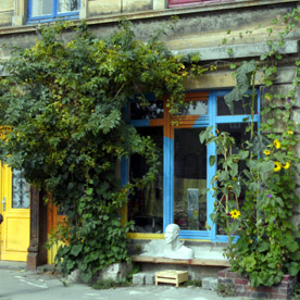 Ein altes Ladenlokal mit blau gestrichenem Fensterrahmen umrankt von grünen Kletterpflanzen