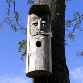 Ein geschnitztes Gesicht mit Pfeife und Einflugloch als Nistkasten vor blauem Himmel am Baum aufgehängt